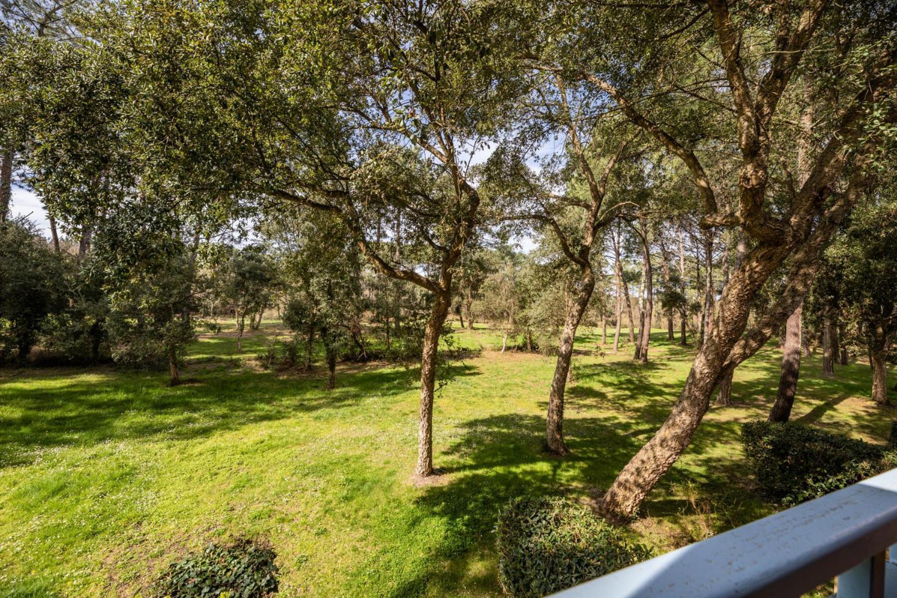 Le Domaine Du Golf De Pinsolle - Maeva Home - Appartement 2 Pieces 5 Personnes - Confort Mae-2674 ซุสตง ภายนอก รูปภาพ